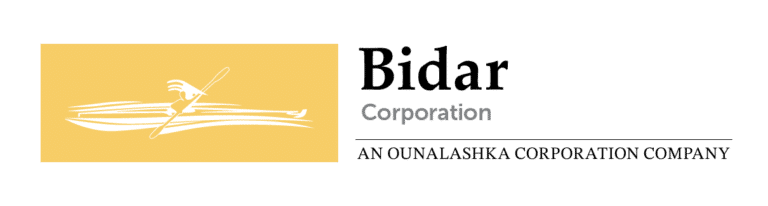 Bidar Corporation Logo-FC