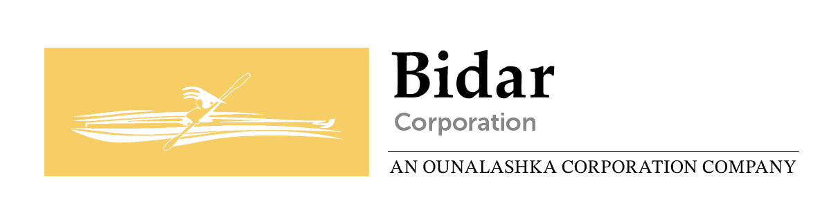 Bidar Corporation Logo-FC