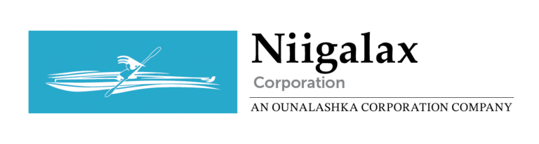 Niigalax Corporation Logo-FC