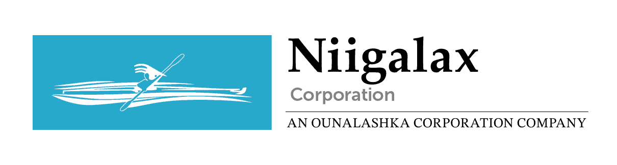 Niigalax Corporation Logo-FC